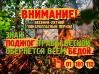 ПОЖАРНАЯ БЕЗОПАСНОСТЬ В ВЕСЕННИЙ ПЕРИОД ПОЖАРНАЯ БЕЗОПАСНОСТЬ В ВЕСЕННИЙ ПЕРИОД