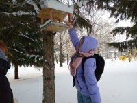 ����� ������� ������ �����