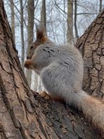 ����� ������!