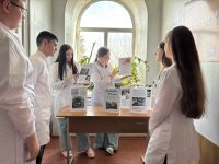 ������ ������ ��������